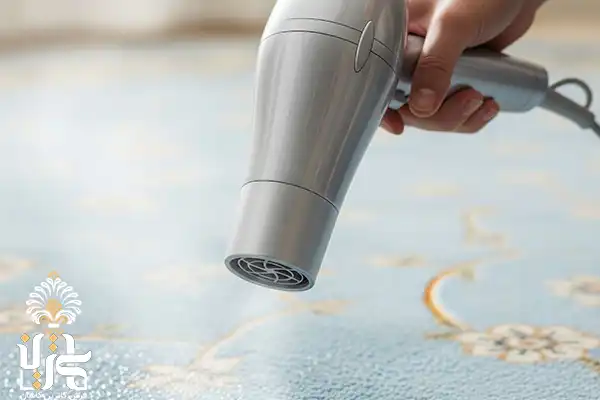 Drying the carpet with a hair dryer